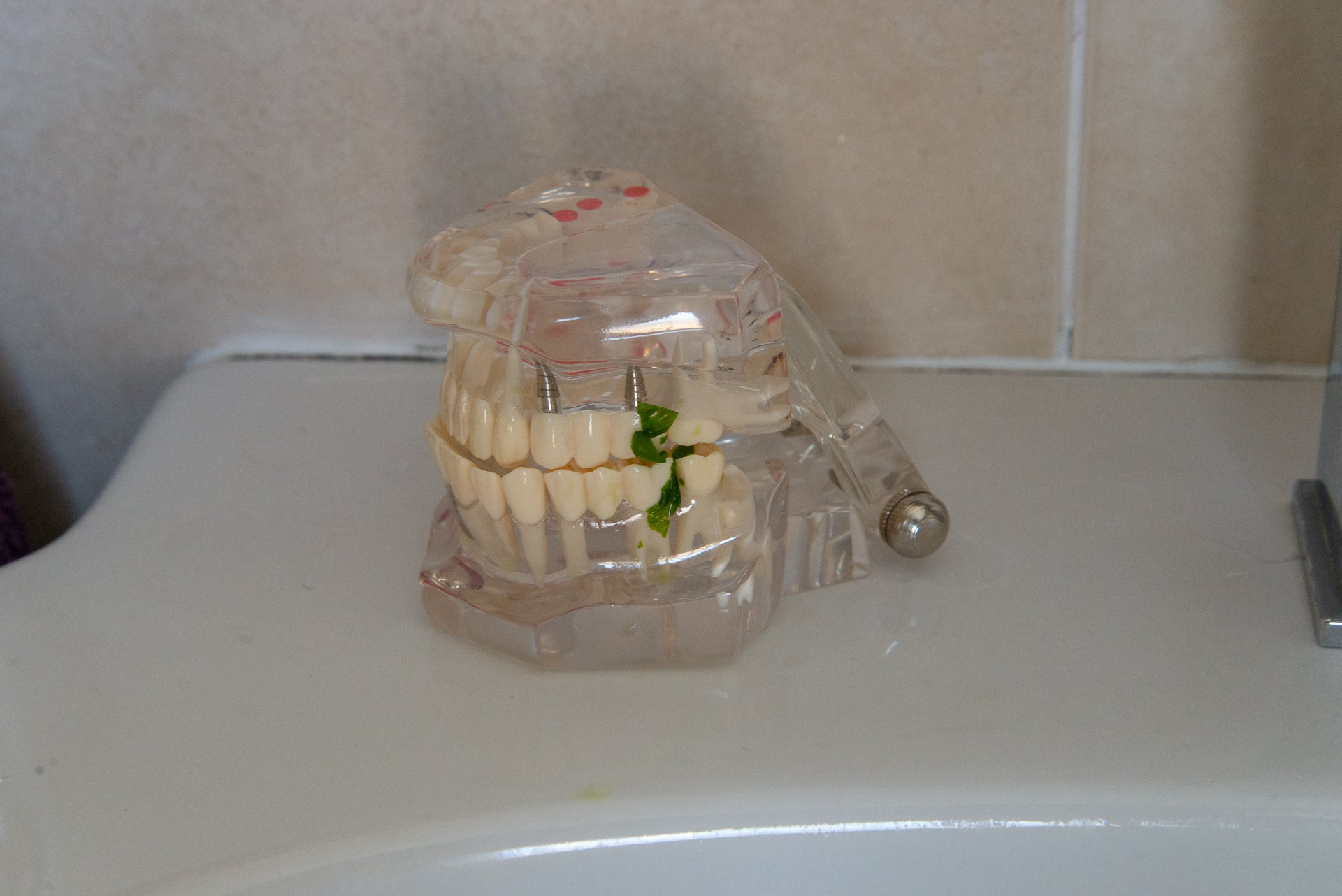 Oral-B Genius 9000 test teeth with spinach