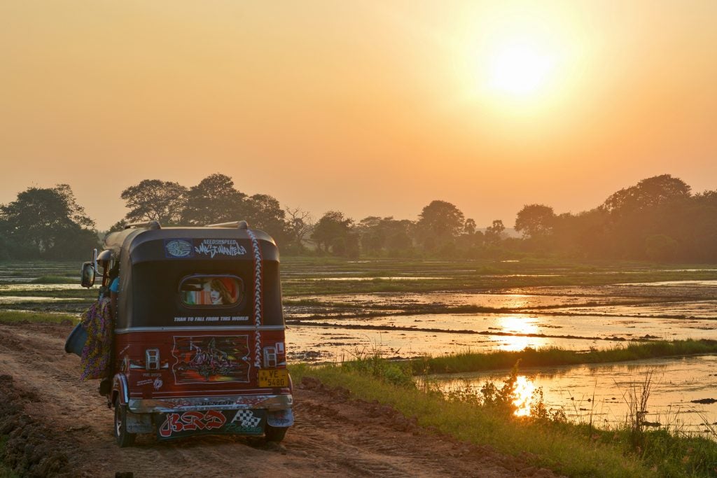 A rickshaw driving past a water field at sunset