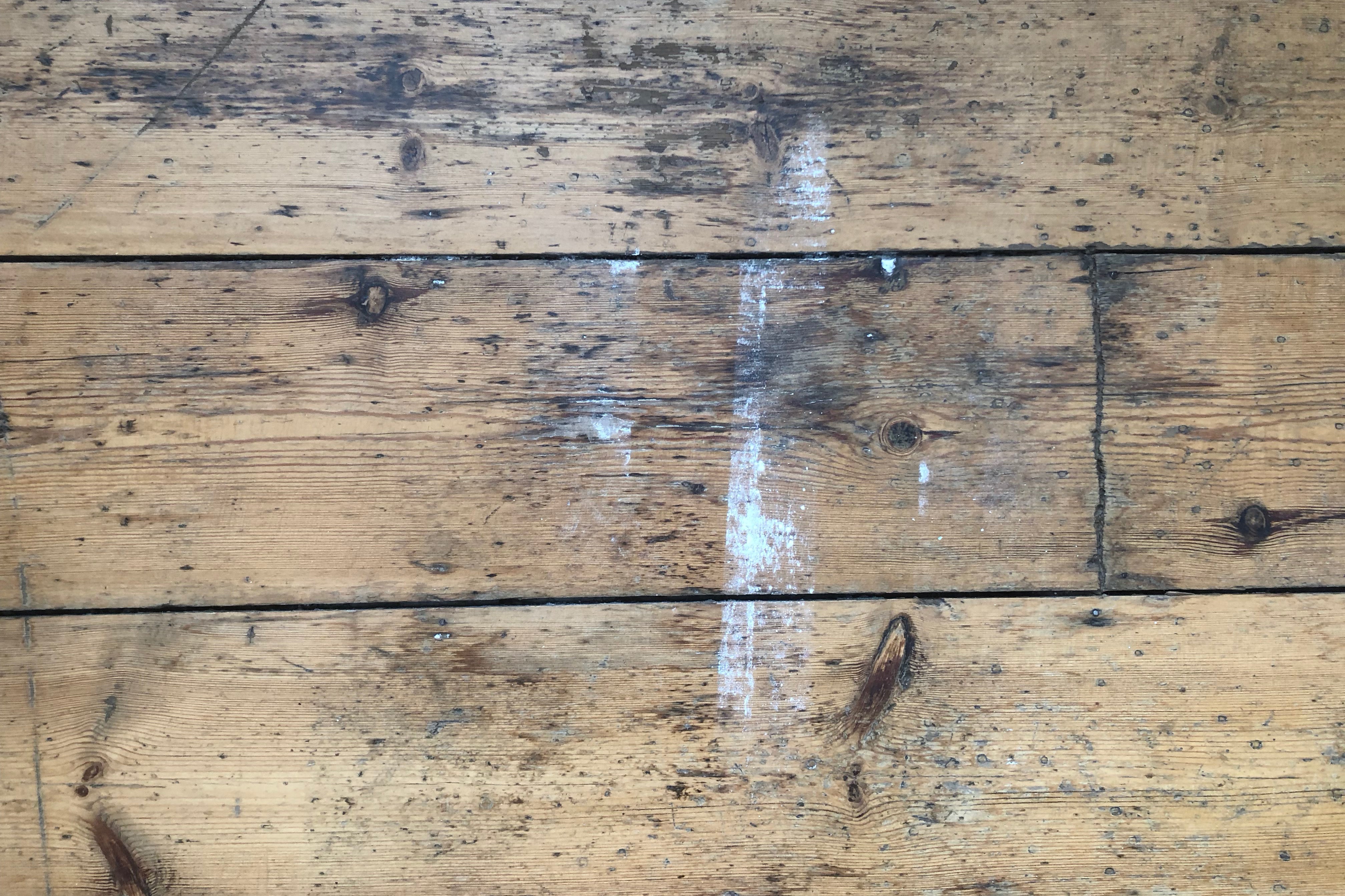 Neato Botvac D5 Connected floor after initial clean