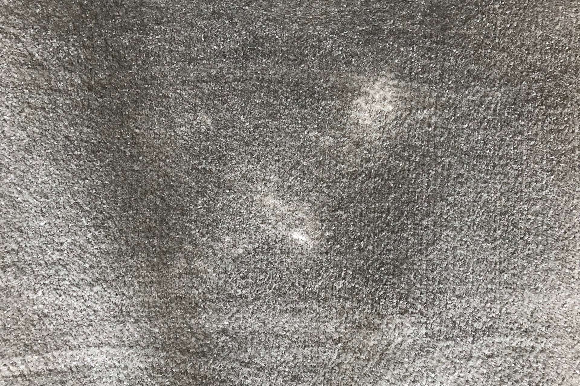 Neato Botvac D5 Connected carpet after initial clean