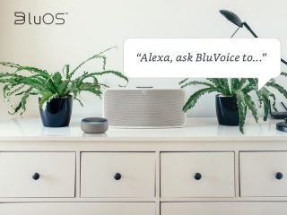 Bluesound Amazon Alexa skills