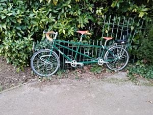 Green tandem bicycle parked by a hedge