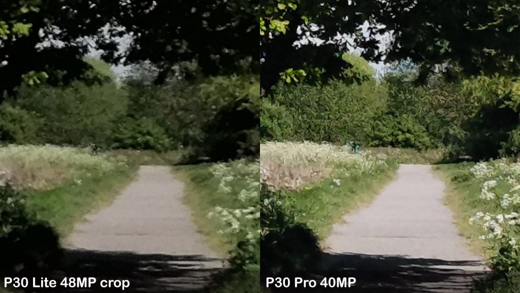 Two same images taken from different smartphones cameras - P30 Lite and P30 Pro