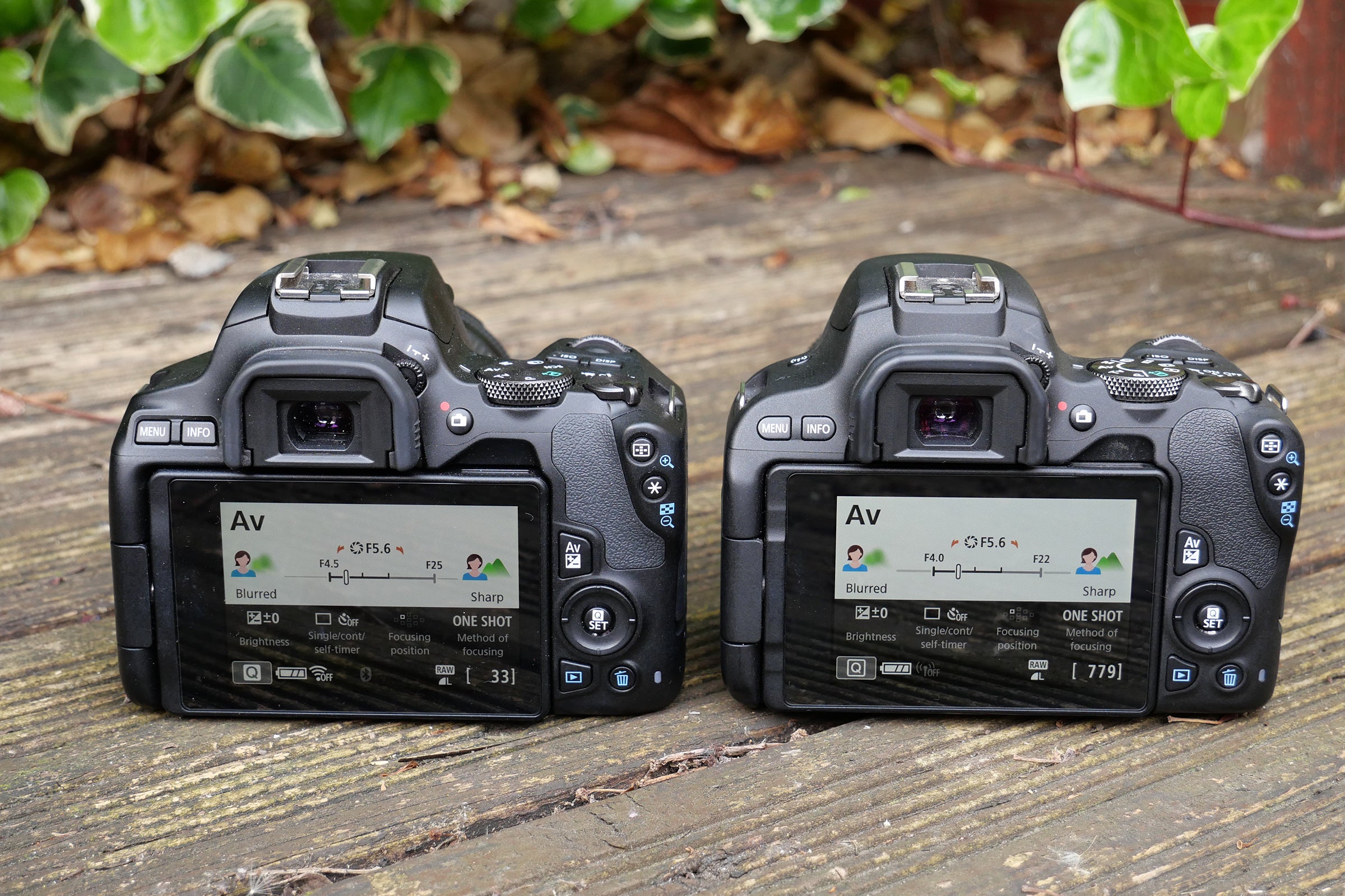 Canon 250D vs 200D