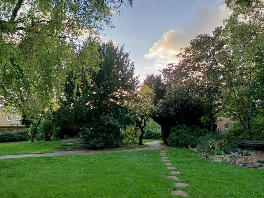A lawn in front of a house with trees and plants all around