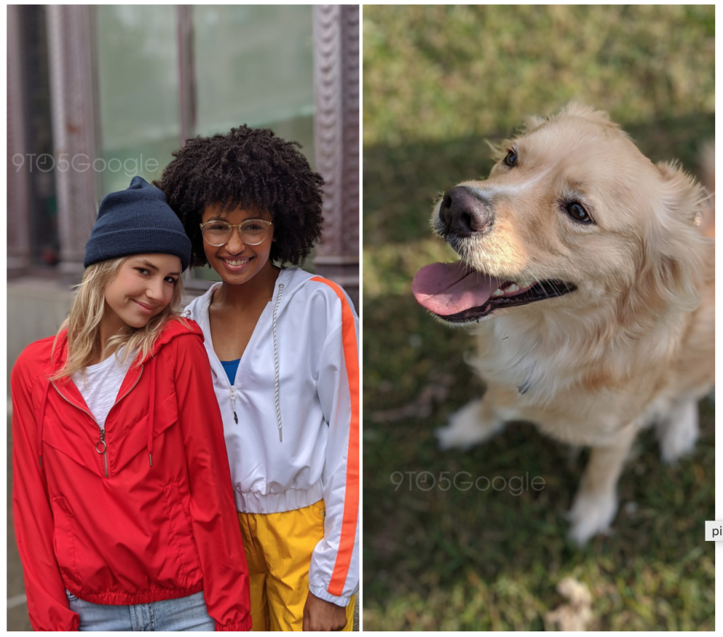 Pixel 4 sample photoA wallpaper of 9TO5Google about Pixel 4 camera pictures, two girls on left and a dog on right