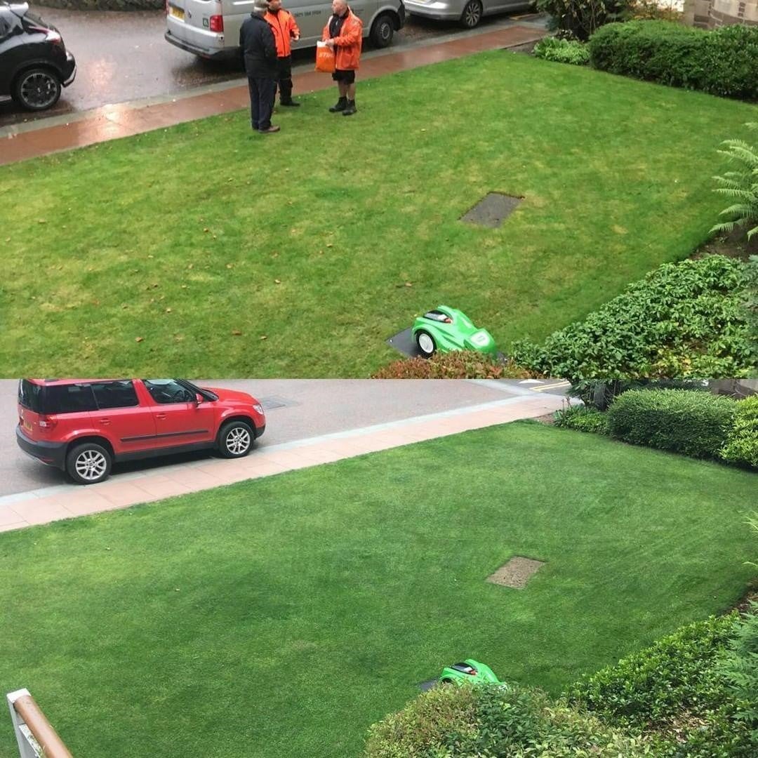 Stihl before and after image
