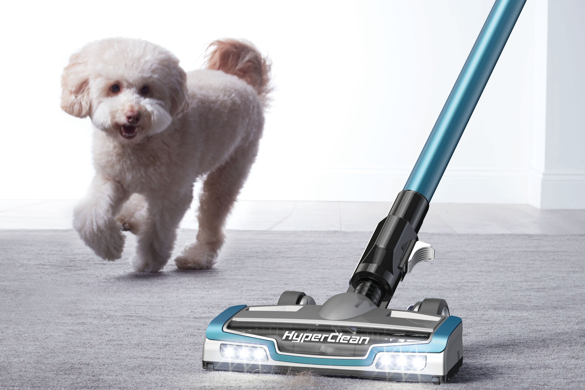 A furry dog walking on a carpet with a Swan Hyperclean Eureka being used on floorA complete set of Swan Hyperclean Eureka kept on wooden floor with packaging box