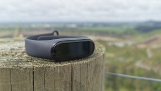 A gray-black Xiaomi Mi Band 4 laid on top of a cut wooden log