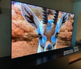 Left angled view of a black LG OLED 77ZX TV standing on a table displaying a picture of an animal