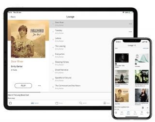 An iPad and an iPhone standing on white background displaying songs and albums on Linn app