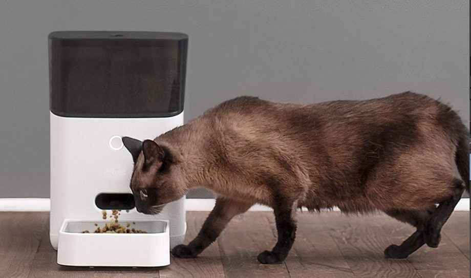 A machine releasing food for a cat walking towards it
