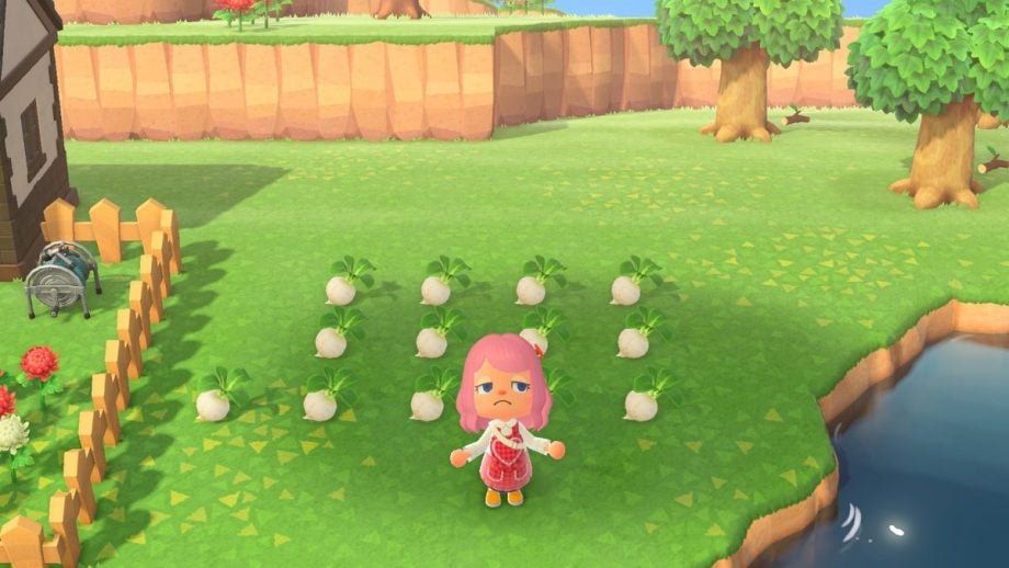 How to play the turnip stalk market in Animal Crossing: New Horizons