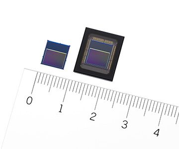 A picture of a chip placed above a ruler on a white bacckground