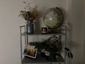 image of some shelves with ornaments on taken on an iPhone SE 2 using a low light setting Picture of a shelf with plant pots, a globe and bottles , taken from iPhone SE