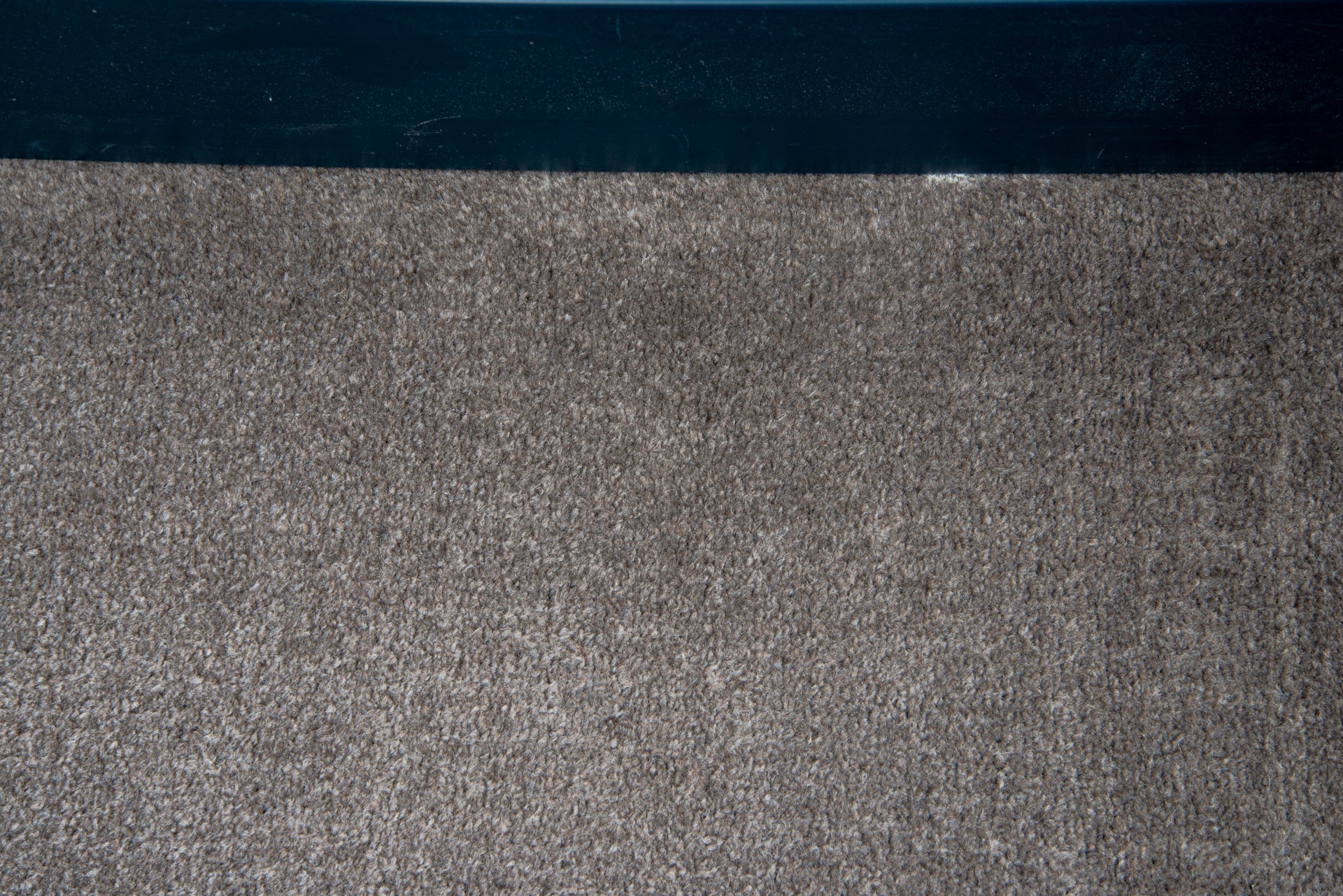 Shark AZ950UKT clean carpet