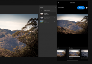 Screenshots from Lightroom about versions applied to a picture
