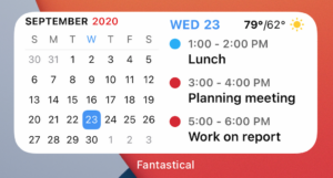 Screenshot of a calendar displaying events