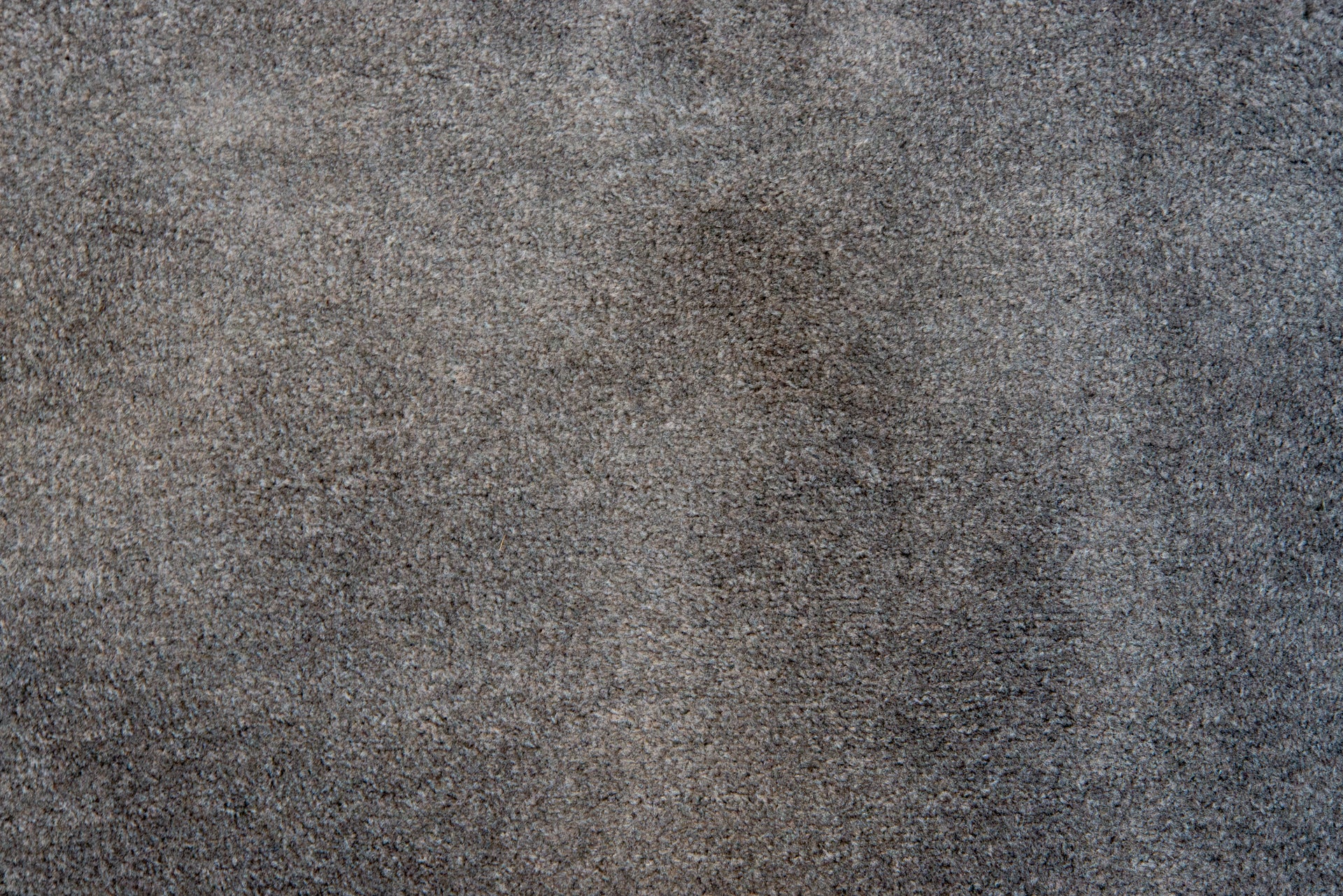 Hoover Steam Capsule 2in1 clean carpet