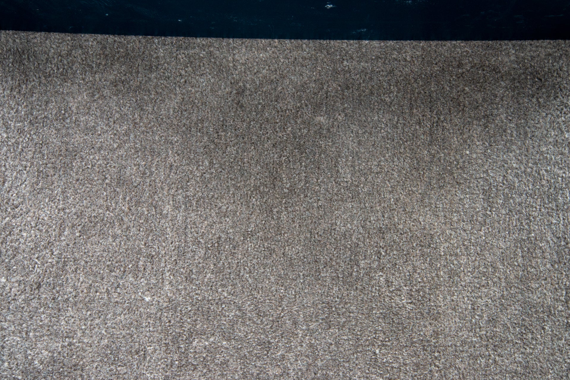 Pure Cordless Lupe clean carpet