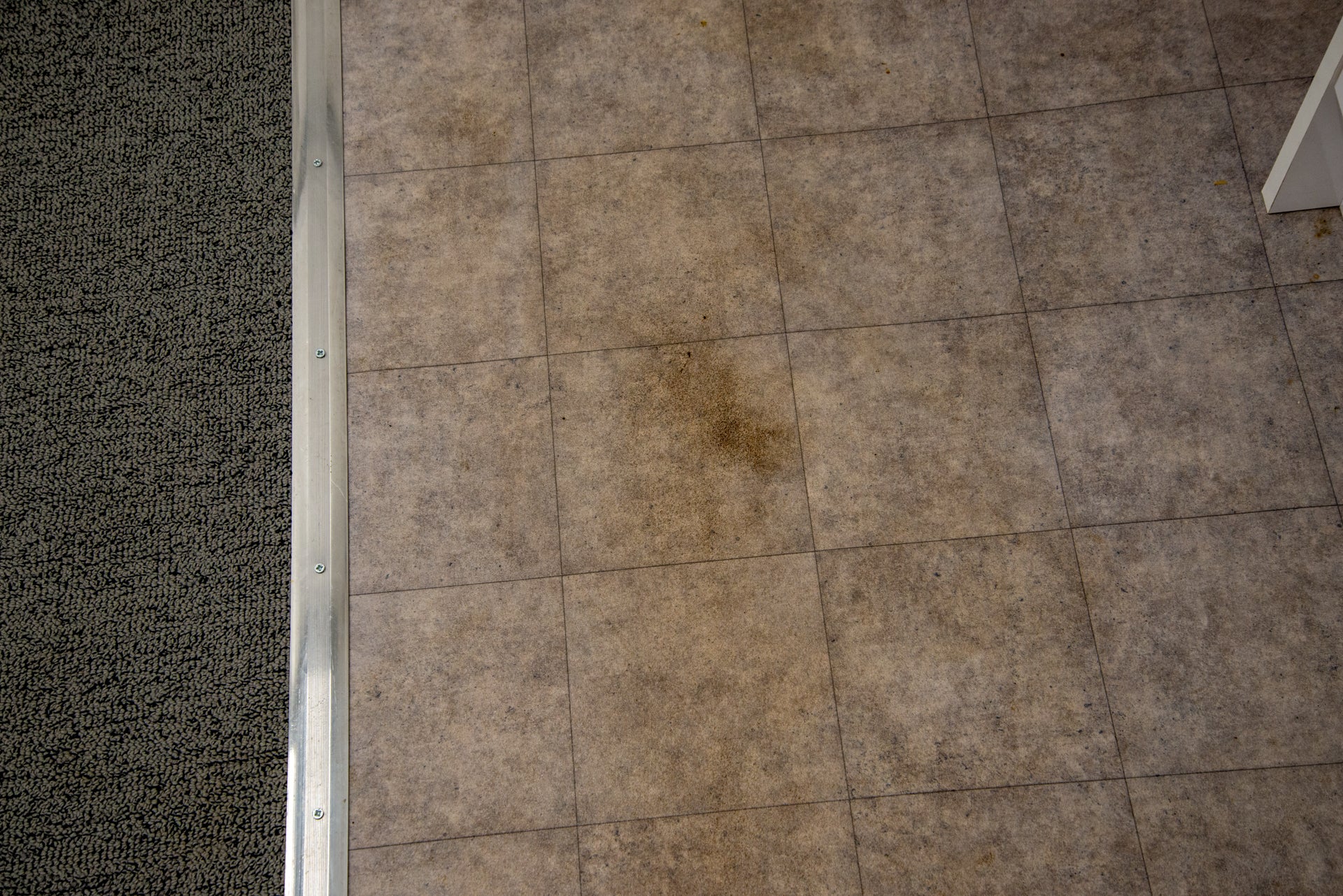 Proscenic P11 Cordless Vacuum Cleaner mopped hard floor