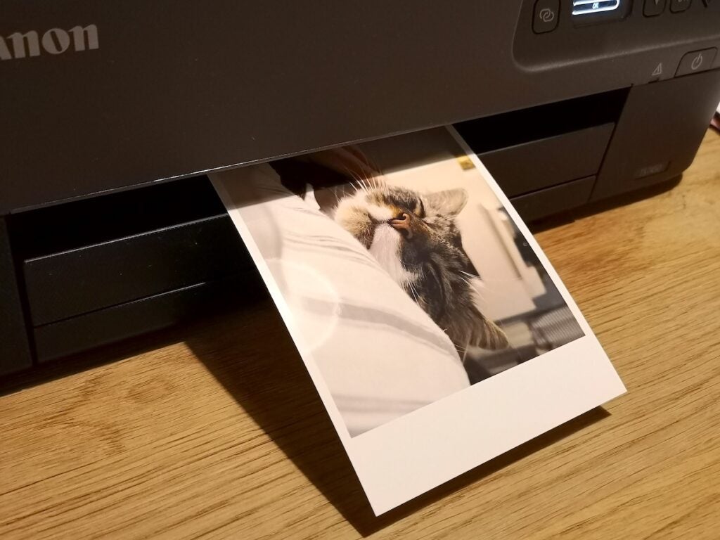 Canon PIXMA TS7450 printing out a glossy 4x6-inch photoA black Canon PIXMA TS7450 color printing in image of a cat