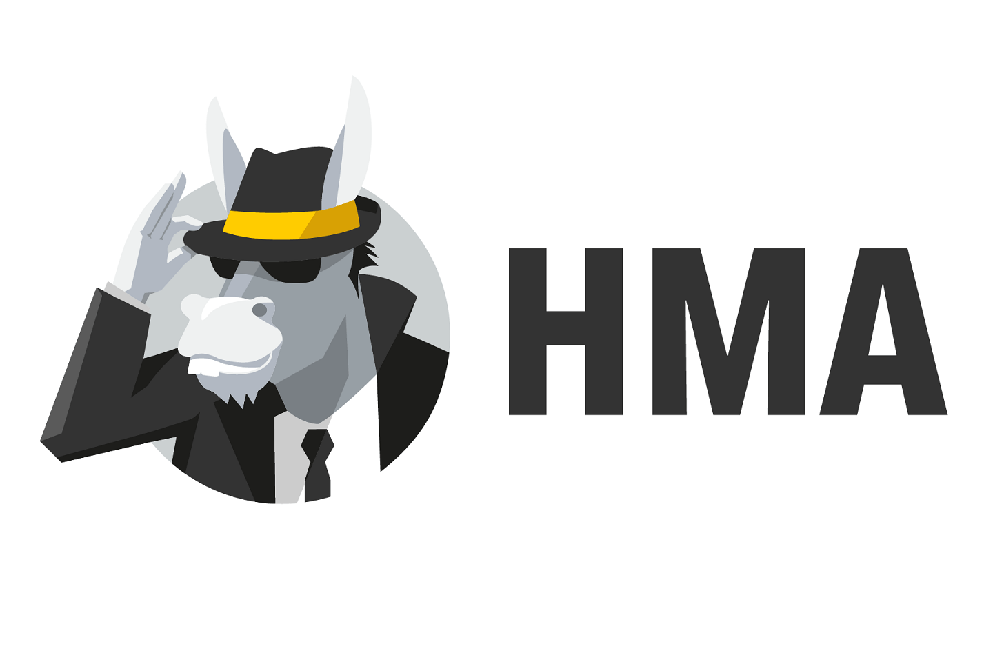 HMA Review | Trusted Reviews