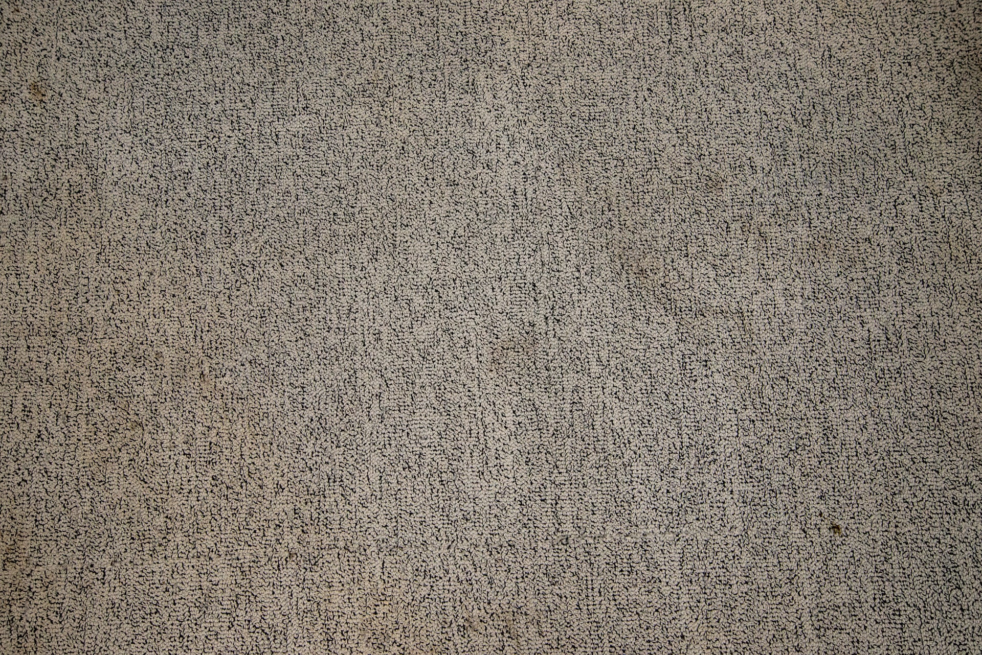 Vax Platinum SmartWash Carpet Cleaner clean mud