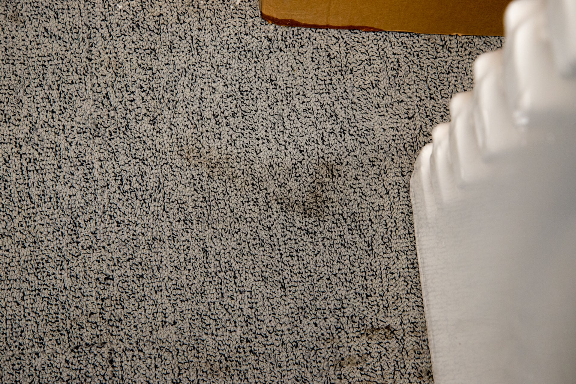 Vax Platinum SmartWash Carpet Cleaner mud close up
