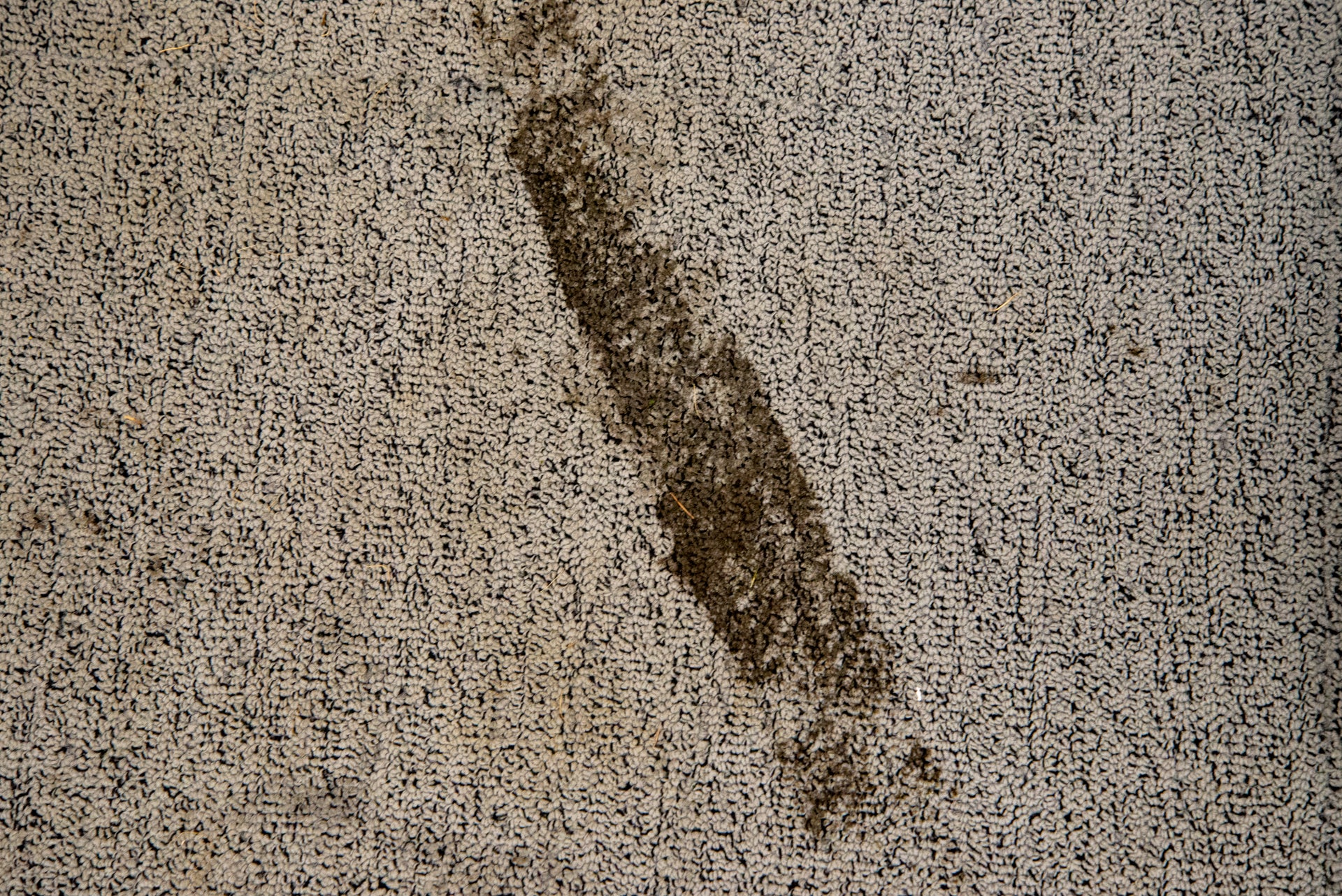 Vax Platinum SmartWash Carpet Cleaner mud on carpet