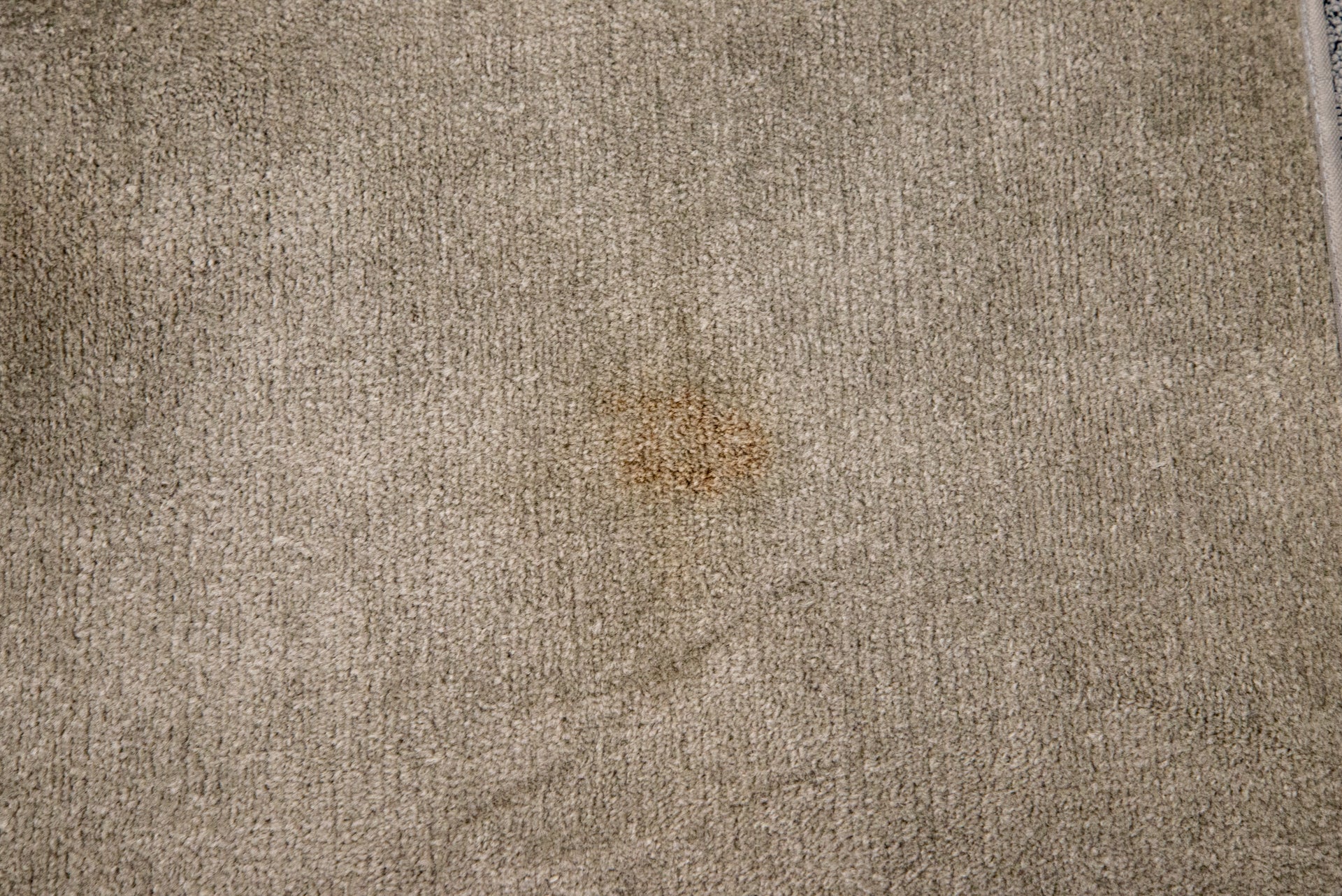 Vax Platinum SmartWash Carpet Cleaner ketchup stain after main brush