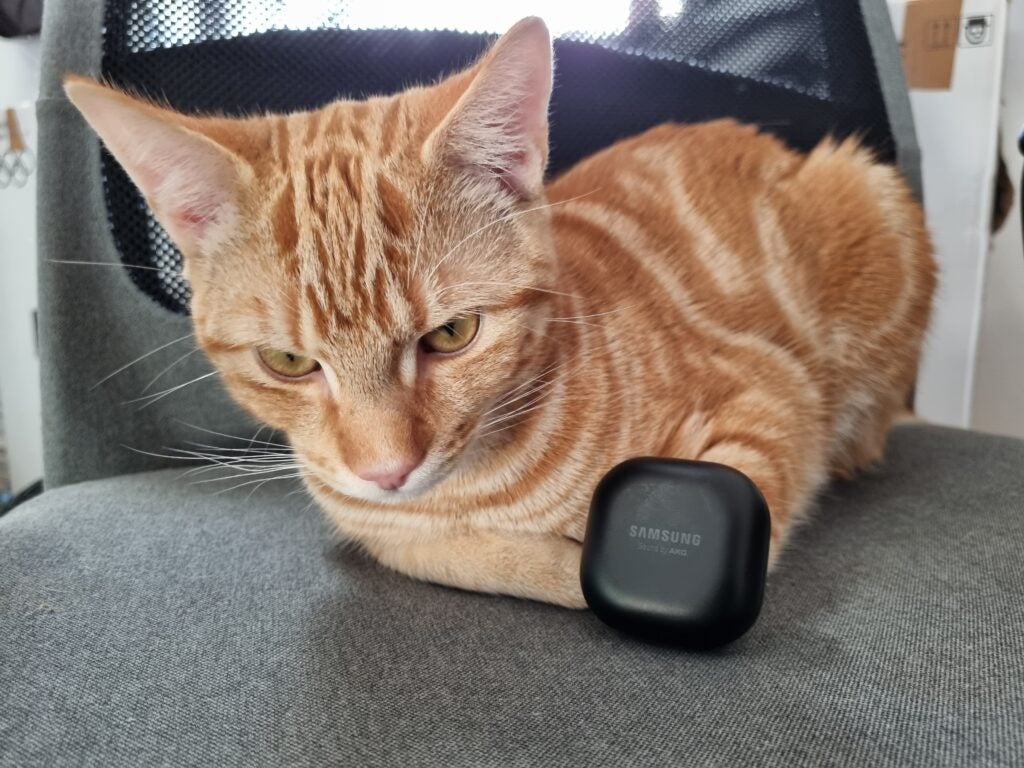 Galaxy Buds Pro with cat