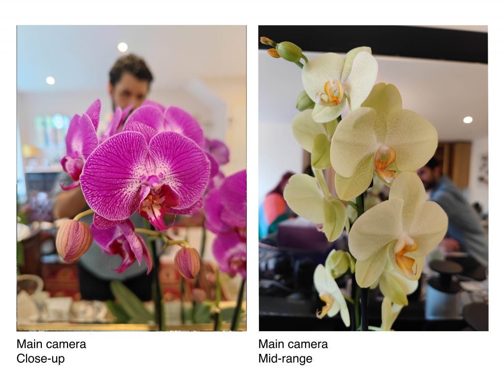 Image samples from Xiaomi Mi 11 Ultra showing camera quality