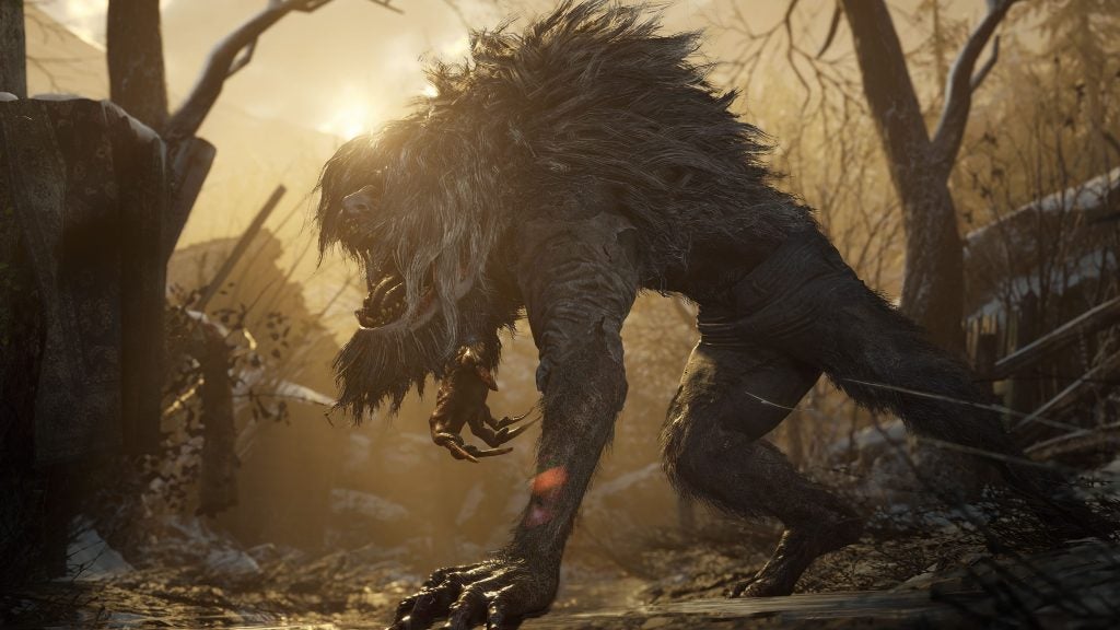 A scene from Resident Evil Village game, a man beast full of hairs, pushing himslef via breaking fences at dawn in a jungle
