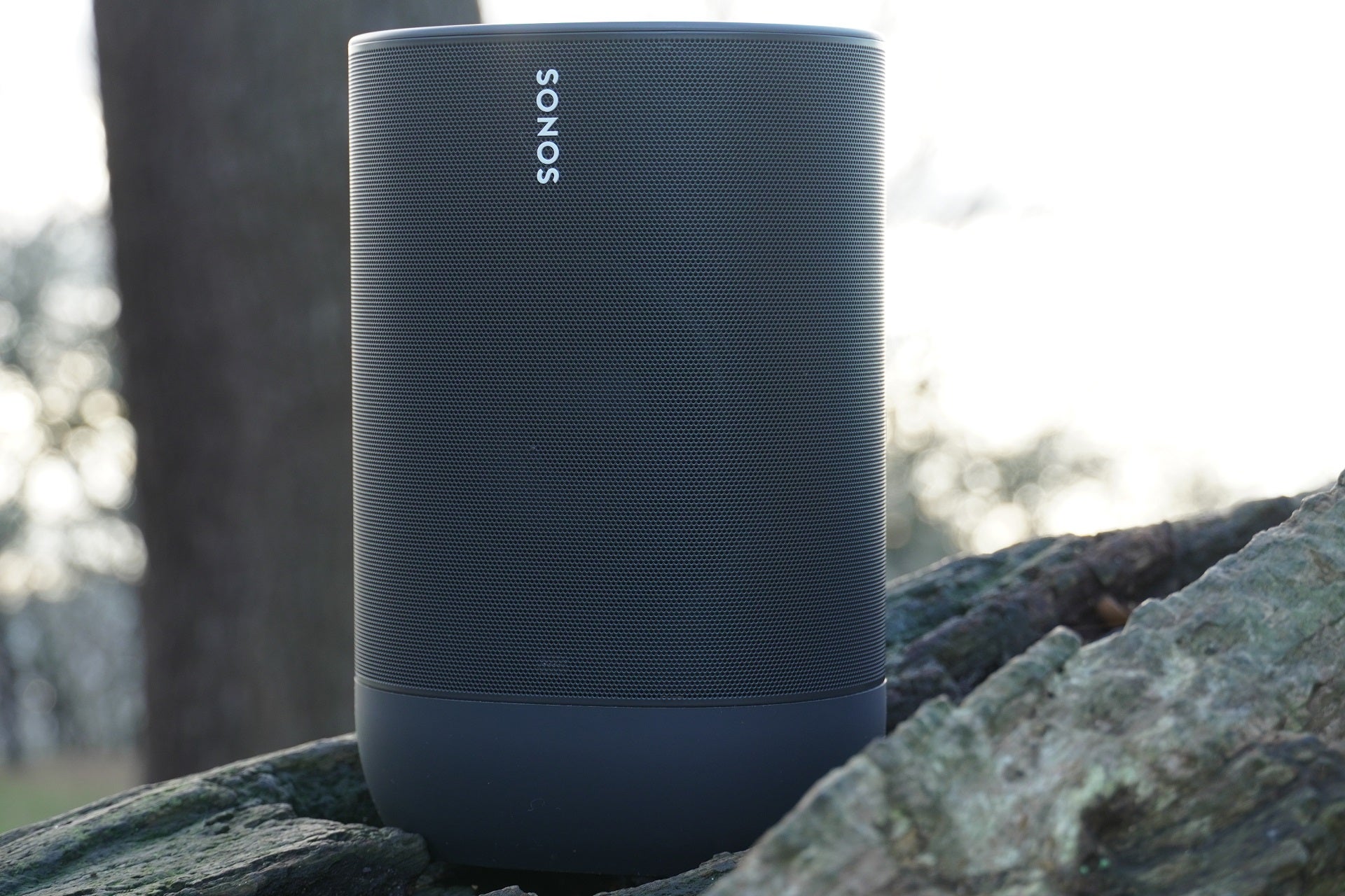 Tag væk Due græs Sonos Move review: An excellent Bluetooth speaker | Trusted Reviews