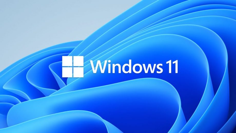 The blue Windows 11 logo