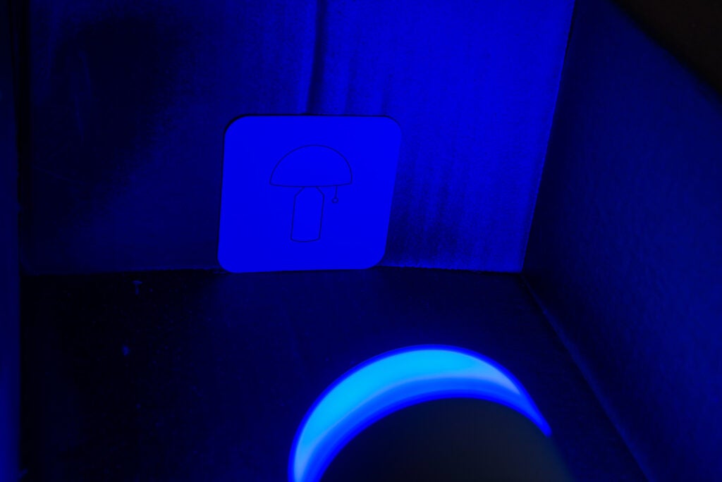 LIFX Clean cleaning cycle