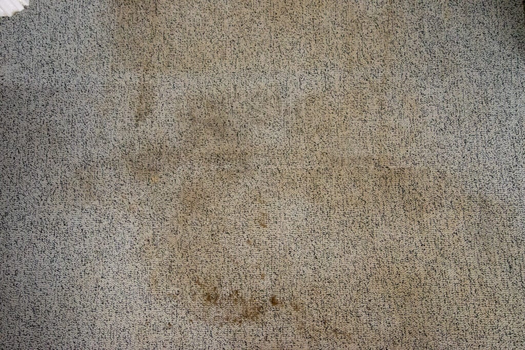 Bissell PowerClean dirty carpet tile
