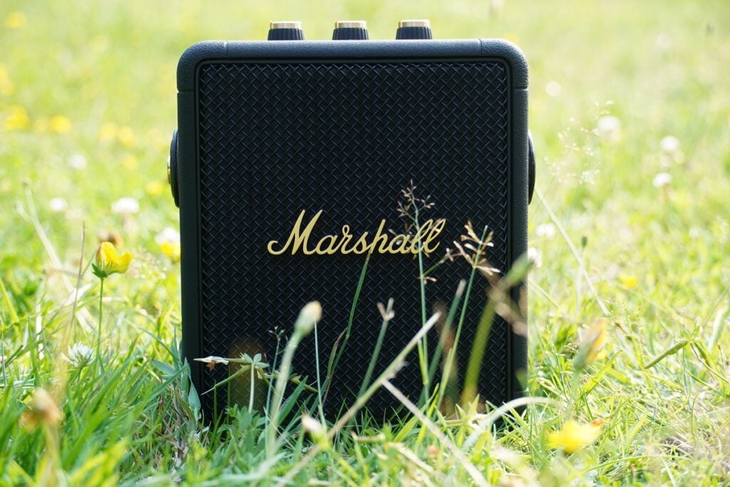 Marshall Stockwell II in grass