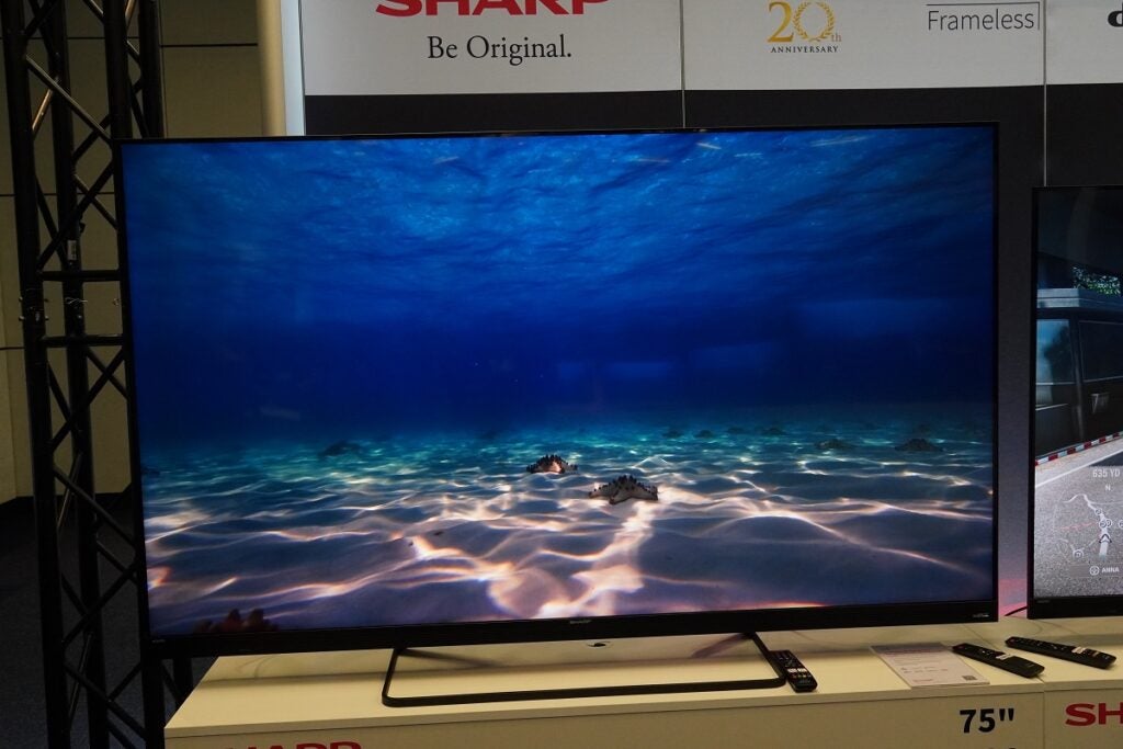 Sharp EQ TV underwater image