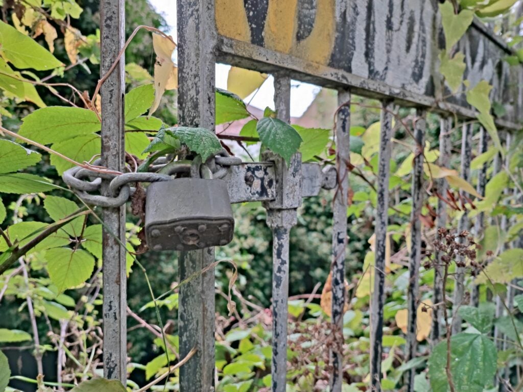 Padlock securing a metal gate with green foliage background.