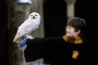 A still from Harry Potter and the Philopsopher's Stone