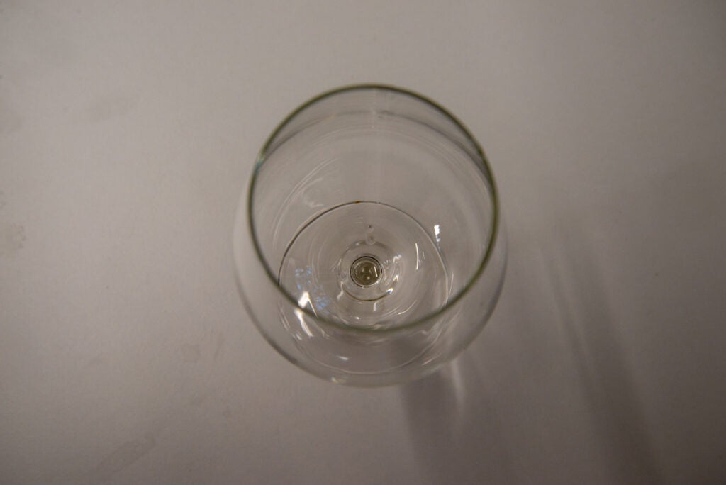 Indesit DFO 3T133 F UK clean wine glass