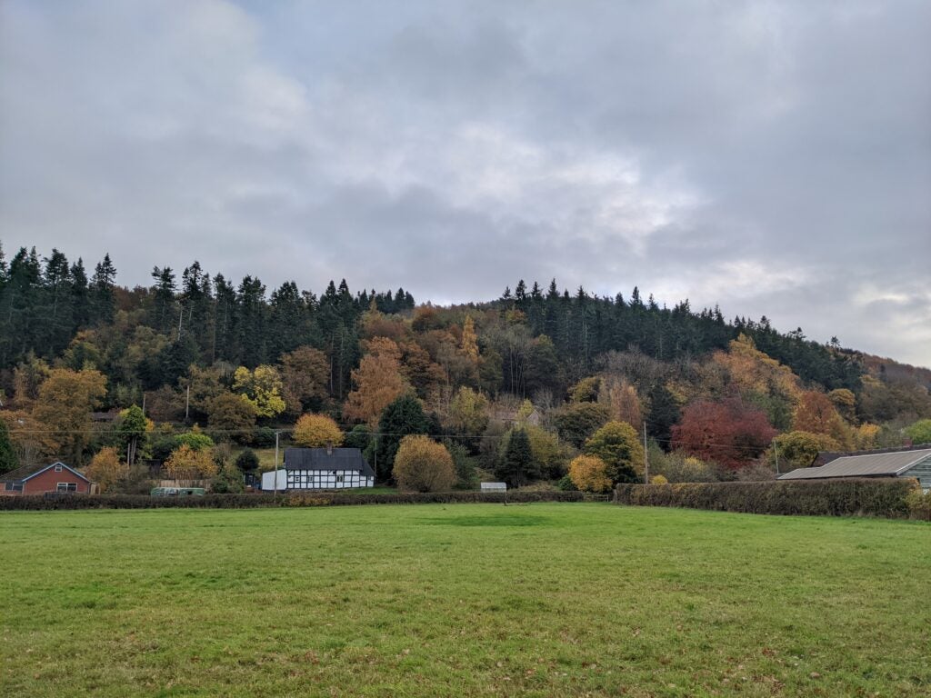 Landscape photo taken with Google Pixel 5a showing autumn foliage.