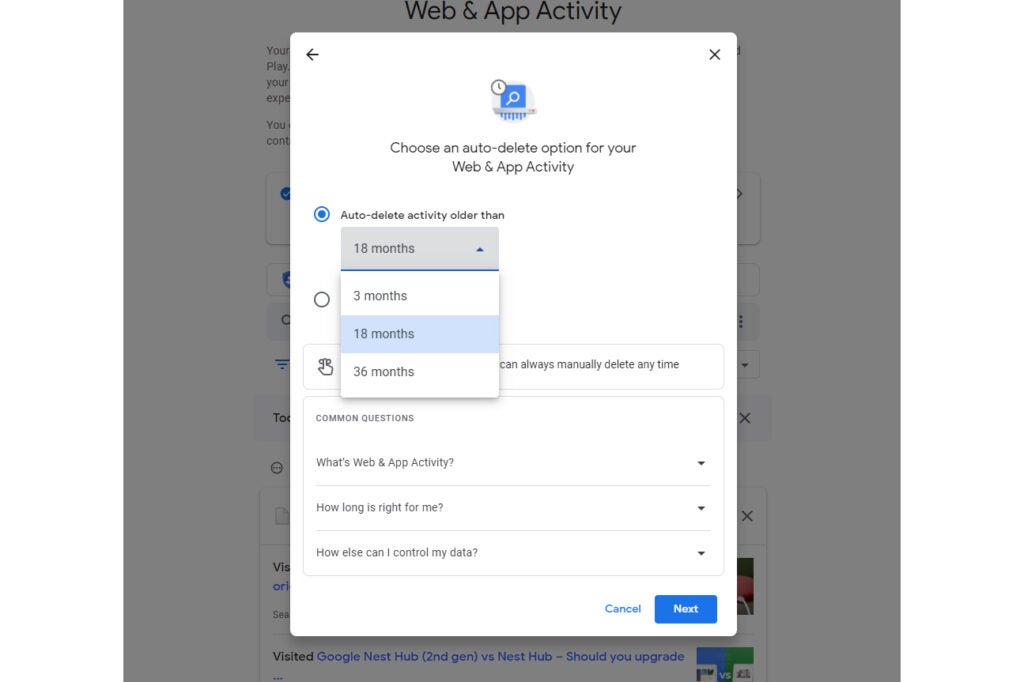 Google Assistant view activity