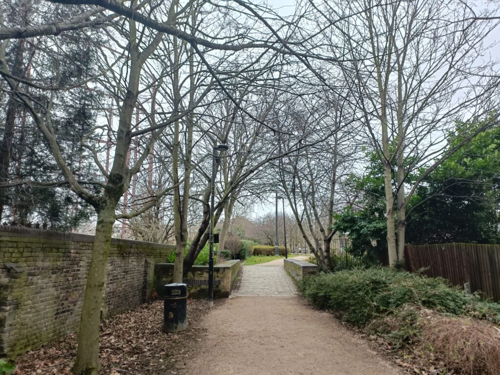 Image taken by the OnePlus Nord CE 2 5G main camera, showing a woodland path