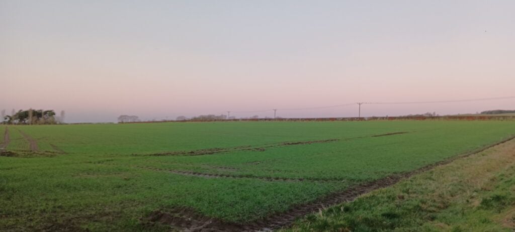 Image taken by the Poco M4 Pro 5G of farmland in the early evening