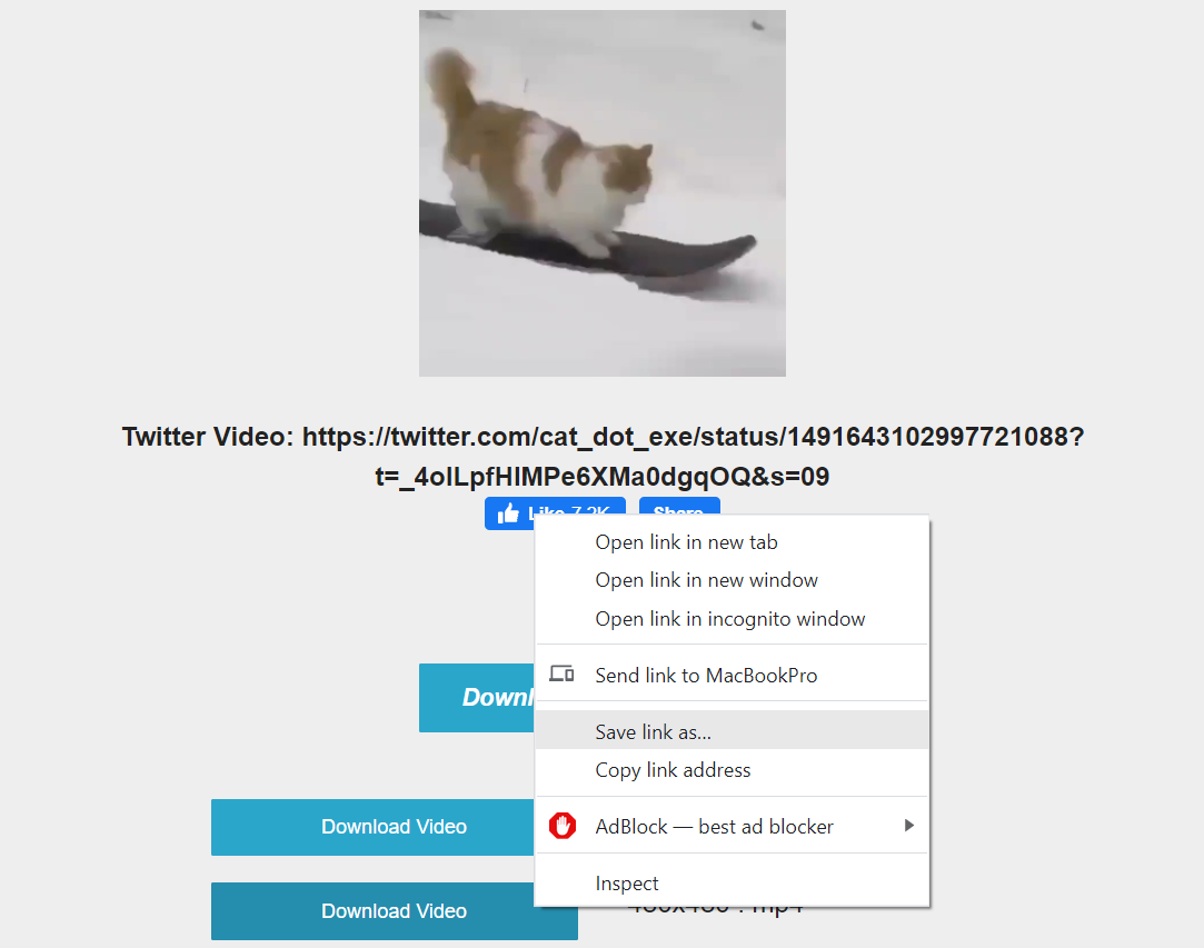 how to download videos from twitter step 8