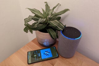 Echo being used as Bluetooth speaker