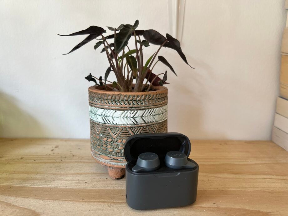 The Cleer Roam NC earbuds with the case open sat in front of a plant
